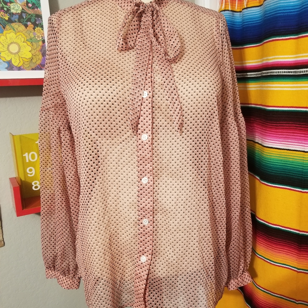 Polka dot sheer pale pink top